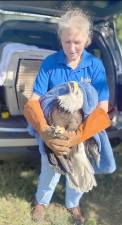 Once its injuries were healed, Jason the eagle was released back to the West Milford skies.
