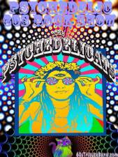 Psychedelicats to play Cornerstone