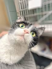 Meet Tammy