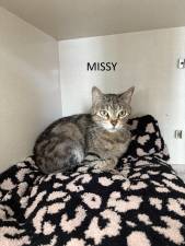 Meet Missy