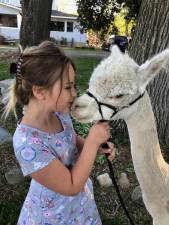 An Alpaca Kissing Booth, hosted by the Awesome Alpaca Adventures 4-H Club, will be part of the Sussex County Farmers and Craft Market’s opening day June 10. (Photo provided)