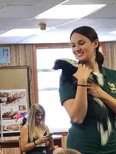 Kim Diez of Eyes of the Wild, an exotic animal rescue farm in Hunterdon County, holds a skunk Saturday, June 24 at the Franklin branch of the Sussex County Library System. (Photos by Ava Lamorte)