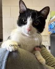 Meet Caroline
