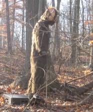 PHOTO BY JANET REDYKE This version of Bigfoot was placed in the woods off of Lounsberry Hollow Road.