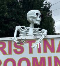 No Bones About it; Halloween is coming