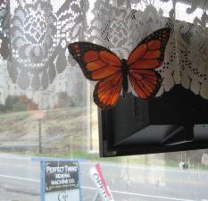 PHOTOS BY JANET REDYKE This Monarch butterfly reminds us to be observant and see the real thing.