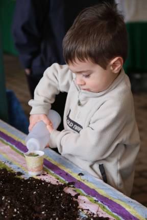 Zachary Bose of Lafayette plants a seedling at Springfest.