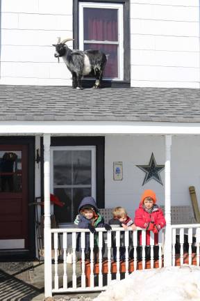 Photo by Gale Miko Tegan, Easton and Tanner Haggerty are ready to play in the snow while the family goat hangs in the sun up on the roof.