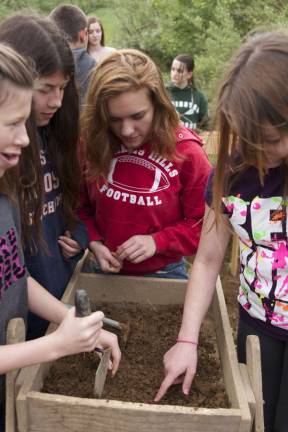 Danielle Chmielowiet, front, archaeology student and voluntee,r assists students Alexis Margroff, Rosie Lynch and Olivia O'Brien with identifying artifacts at Vernon's Black Creek Site.