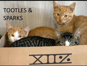 Meet Tootles and Sparks