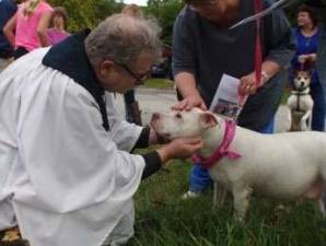 Princess receives her blessing at last year's St. Francis Day.