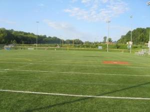 Vernon Township Council President Jean Murphy proposed a 10-year tax to prevent the need for bonding when a turf field at Maple Grange Park needs to be replaced.