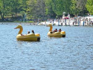 Tomahawk Lake Waterpark job fair today
