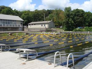 Cooler weather has emptied the swimming lanes