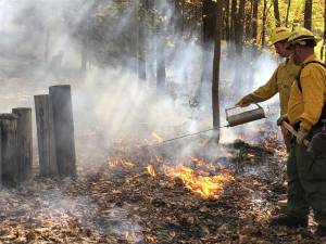 High Point Regional High School Principal Jon Tallamy helps light a prescribed burn on a quarter-acre of forest behind the school Thursday, Oct. 19. He is watched by a member of the New Jersey Forest Fire Service. (Photo by Kathy Shwiff)