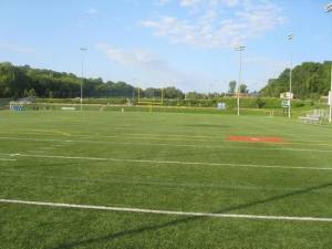 The Vernon Township Council passed a bond ordinance to replace the turf fields at Maple Grange Park.