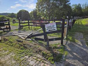 <b>Damage at Wantage Dog Park</b>