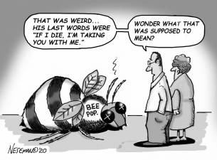 Cartoon HONEY BEE