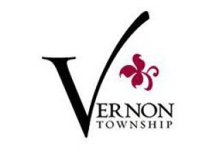 Vernon Lights festival gets temporary permit