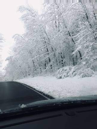 Photo courtesy Donna Conti