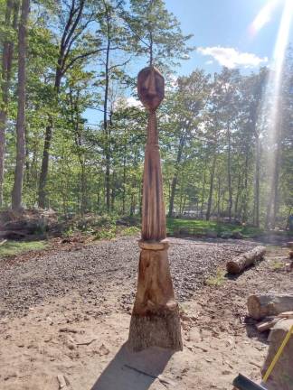 Chainsaw Carver’s carve 7 trees for home owners front yard