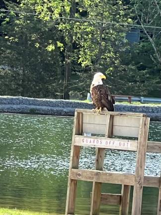 New ‘lifeguard’ on duty at Pleasant Valley Lake