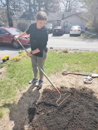 Meghan Emmerich was part of the team that planted the tiny trees for residents who requested it.