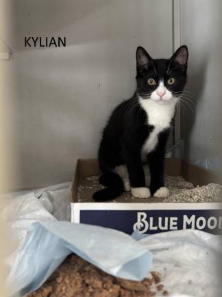 Meet Kylian