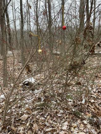 A secret Santa has been decorating the woods along Canistear Road in Vernon as Christmas approaches. (Photo by Janet Redyke)