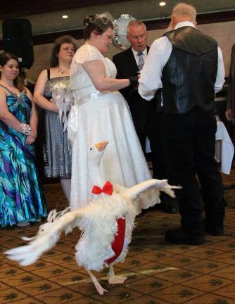 PHOT From the minute Paul Kreczkowski of Wantage showed his fiancee Vivian a picture of Oliver the Goose she knew she wanted him in their wedding. On Mother's Day, the Kreczkowski's tied the knot at the Hampton Diner. Oliver had no problem walking the rings down the isle to the couple as their guests watched. When time came to exchange the rings, Oliver broke out into a happy dance to help the couple celebrate.