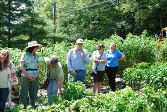 From 10 a.m. to 4 p.m., ticketholders visit the best backyard veggie patches throughout Orange and Sussex Counties. Afterwards, the fun continues at The Kitchen Garden Tour’s after party, where attendees enjoy local beer, wine, and hors d’oeuvres at Meadow Blues’ outdoor Blues Garden in Chester, N.Y.
