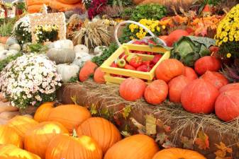 Upcoming fall festivals and events