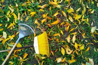 Glen Meadows students offer their raking services