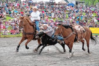 Brayden Mahon of Lake Luzerne, N.Y., jumps from his horse onto a steer during the steer wrestling contest during the pro rodeo last year at Green Valley Farms in Wantage. (Photos by George Leroy Hunter)