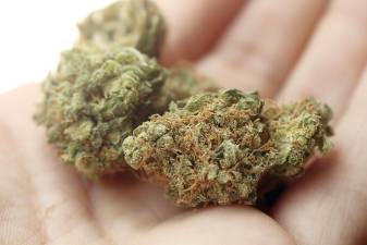 Vernon Council reverses course, approves cannabis retail license