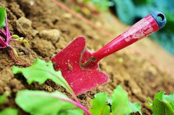 Wantage church starts community garden