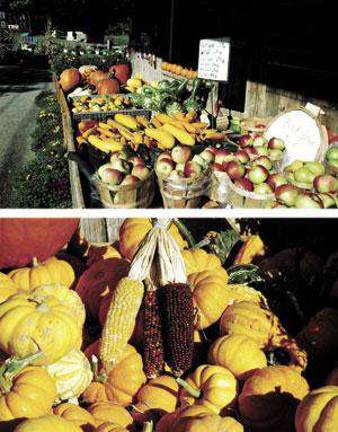 Fall harvest