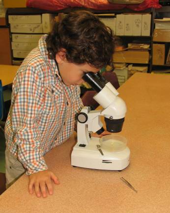 Walnut Ridge students participate in trout package