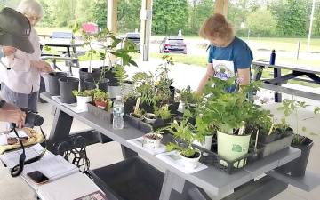The plant exchange encourages people to swap, share, or even pick up some new plants.