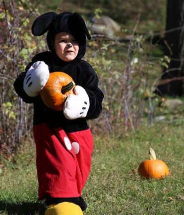 This little Mickey Mouse, Noah Danner of Wantage, picks out his halloween pumpkin.