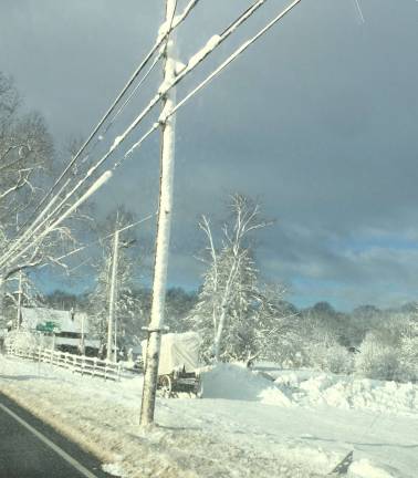 Photo submitted by Donna Conti