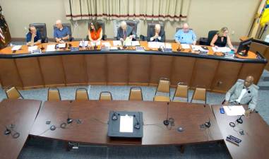 The Vernon Township Council’s August 8 meeting via Zoom.