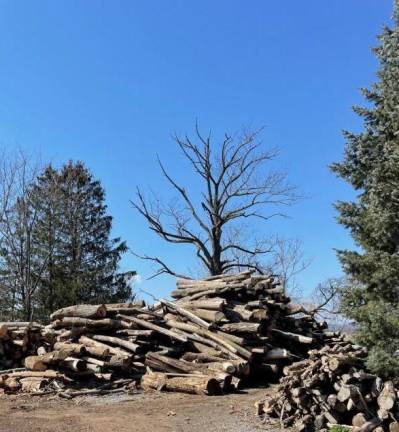 RS Landscaping LLC firewood