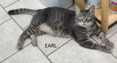Meet Earl