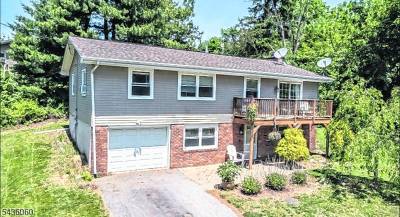 Lincoln Avenue raised ranch