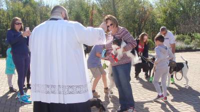 Father Chris Barkhausen, Pastor of St. Francis de Sales Church blesses pets on the Feast Day of St. Francis of Assisi.