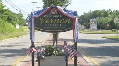Vernon approves redevelopment plan
