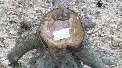 The infamous Canistear Road tree stump, which area residents decorate for different occasions, sports a medical mast, a definite sign of the virus times.