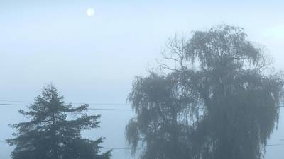 Just before dawn the beautiful Harvest Moon (the Full Moon closest to the Autumn Equinox) could still be seen through the fog on Rt.94