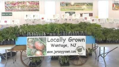 The Sussex Farmer’s Market has a variety of heirloom plants for sale.